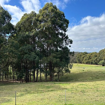 Blueberry Hills On Comleroy Farmstay - Self-Contained Cottages Kurrajong Exterior foto
