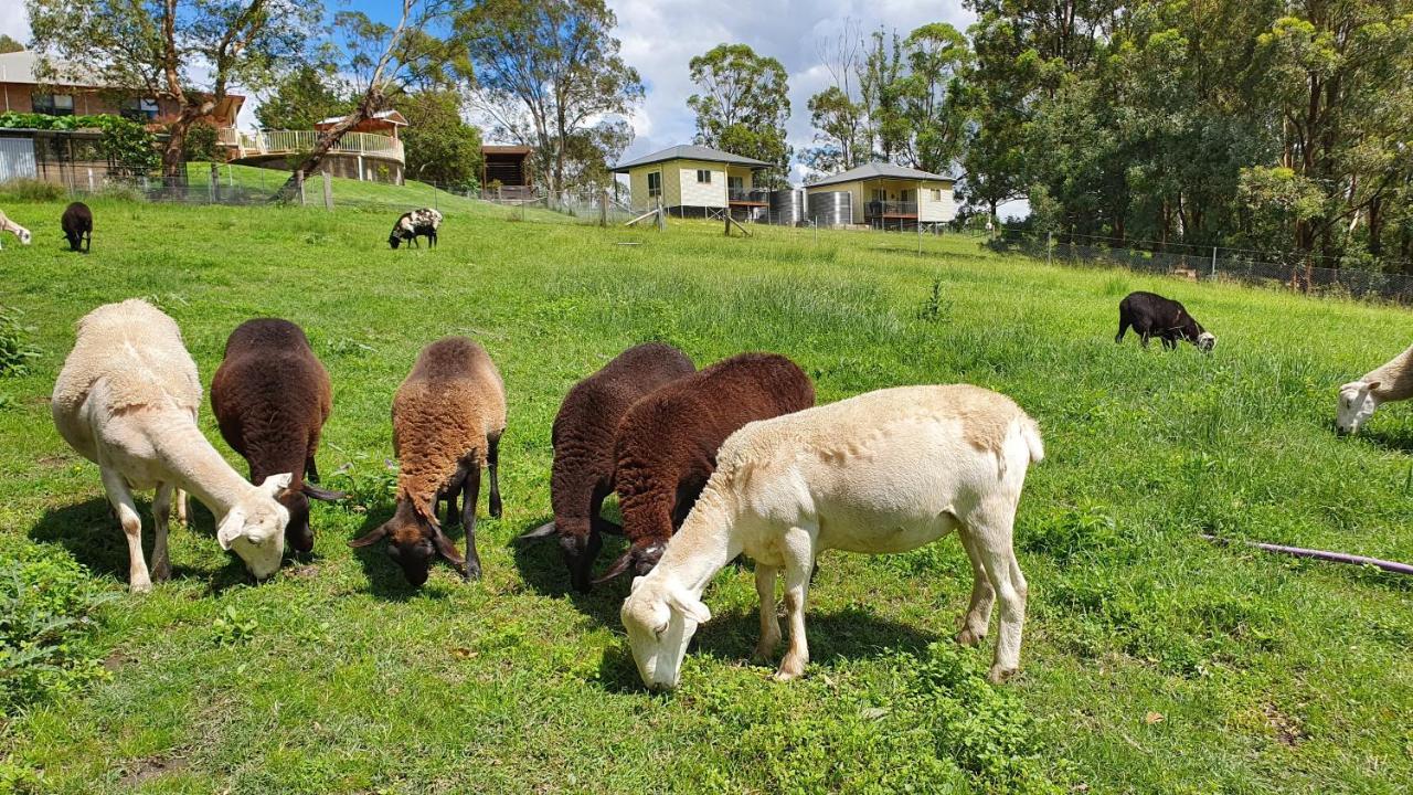 Blueberry Hills On Comleroy Farmstay - Self-Contained Cottages Kurrajong Exterior foto
