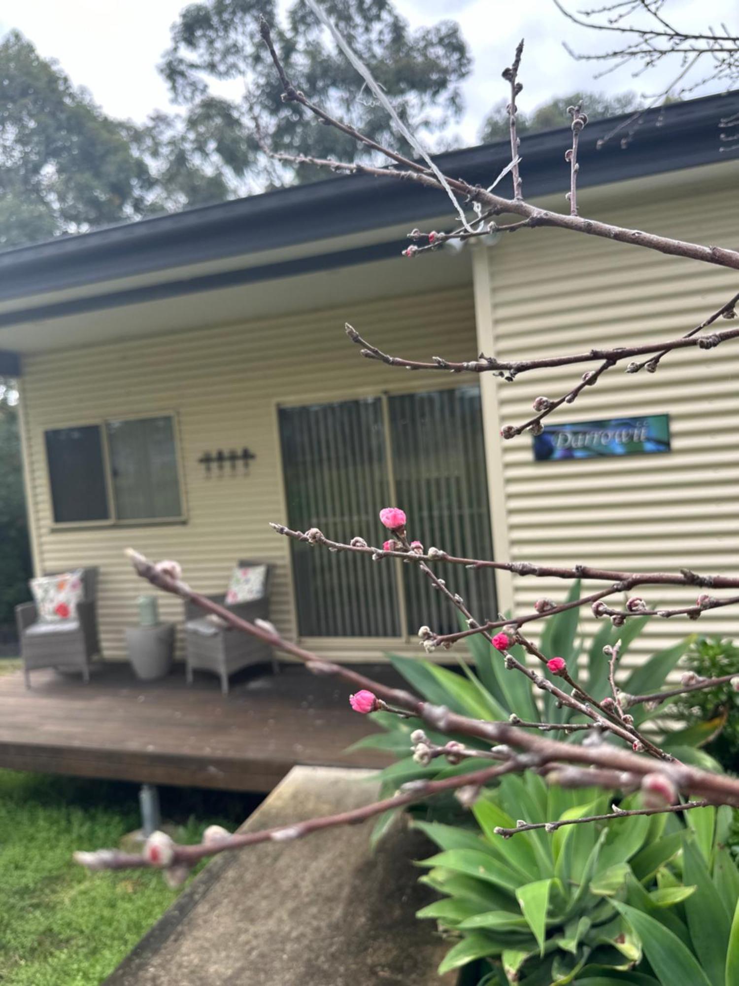 Blueberry Hills On Comleroy Farmstay - Self-Contained Cottages Kurrajong Exterior foto