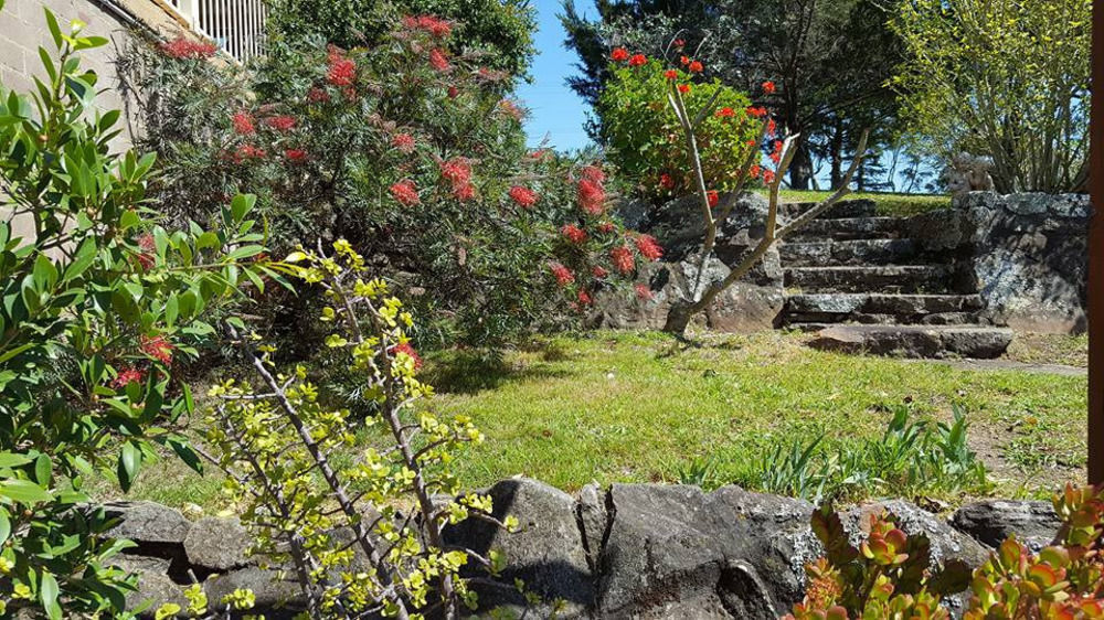 Blueberry Hills On Comleroy Farmstay - Self-Contained Cottages Kurrajong Exterior foto
