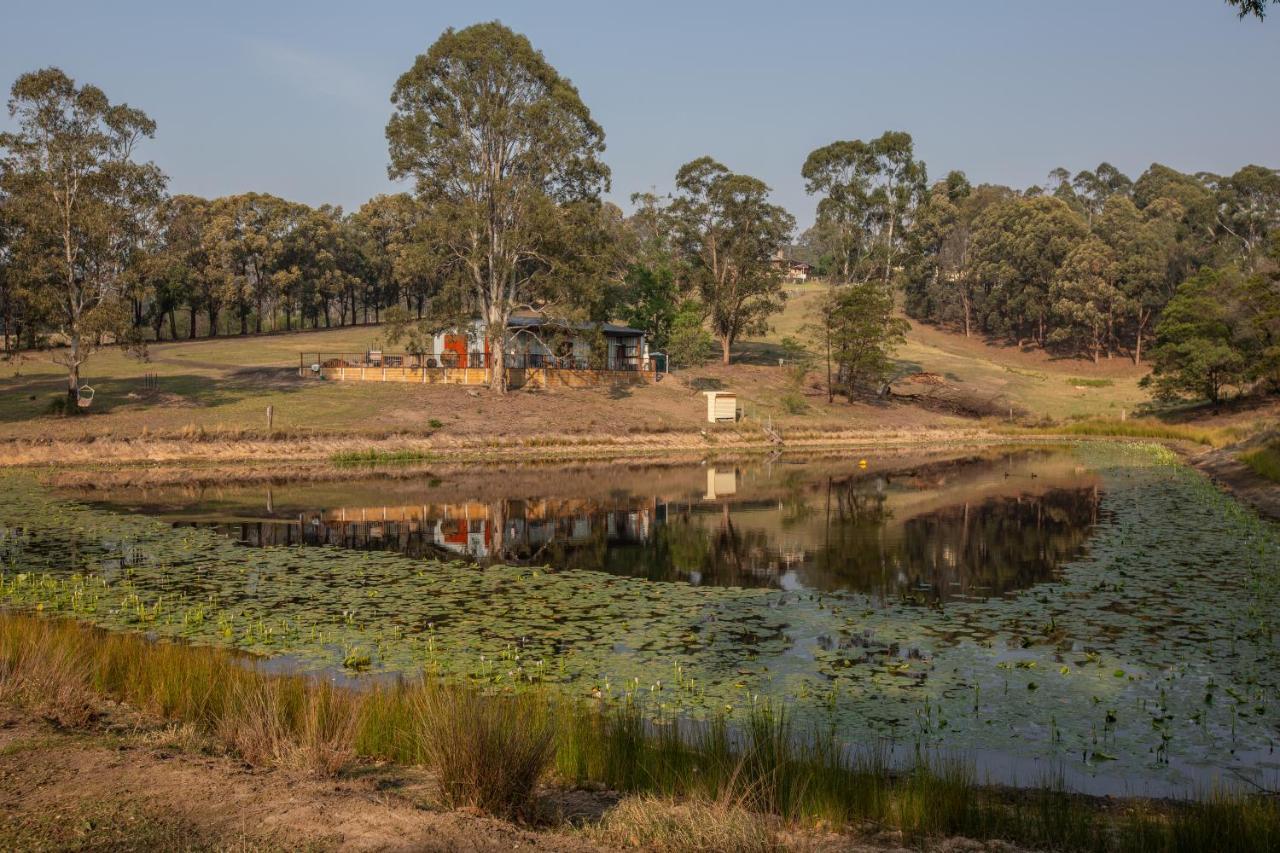 Blueberry Hills On Comleroy Farmstay - Self-Contained Cottages Kurrajong Exterior foto